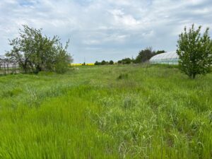 Lot de teren de vanzare excelent, Comuna Vidra, Ilfov, ideal investitie