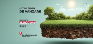 Teren intravilan 8.000 mp, ideal dezvoltare rezidentiala, Adunatii Copaceni, Judetul Giurgiu
