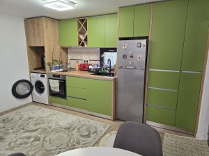 Casa moderna cu teren generos 1066 mp, mobilata si utilata – 1 Decembrie, Ilfov