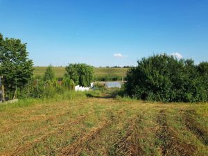 Teren intravilan 3.399 mp, ideal investitie sau dezvoltare rezidentiala – Adunatii Copaceni