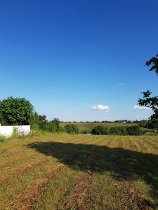 Teren intravilan 3.399 mp, ideal investitie sau dezvoltare rezidentiala – Adunatii Copaceni