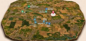 Teren de 8.141 mp in zona Vidra – Berceni, ideal pentru ansamblu de case sau investitie pe termen lung