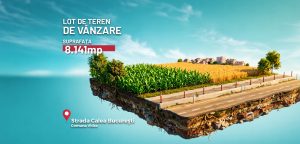 Teren de 8.141 mp in zona Vidra – Berceni, ideal pentru ansamblu de case sau investitie pe termen lung